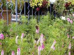 gardenmuseum (6).jpg